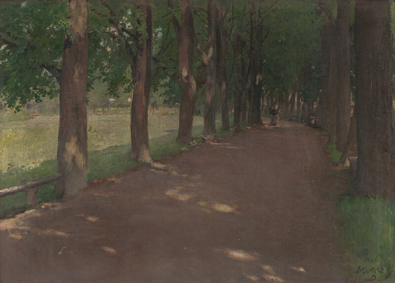 Dominik Skutecký – Alej 