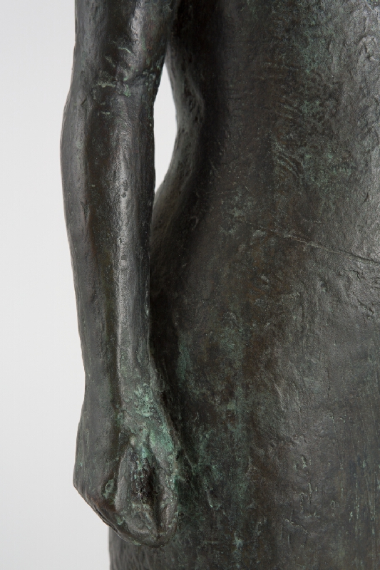 František Patočka – Družstevníčka 