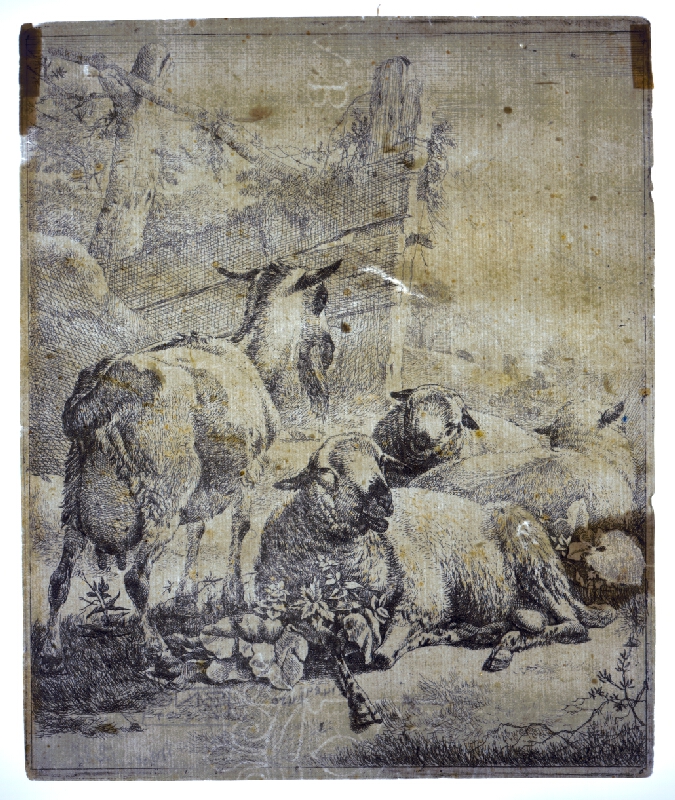 Johann Heinrich Roos – Barania črieda 