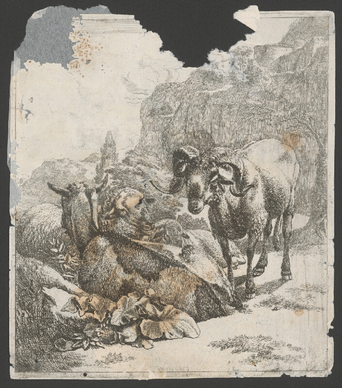 Johann Heinrich Roos – Baran 