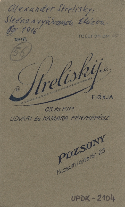 Sándor Strelisky – Slečna s vyšívanou blúzkou 