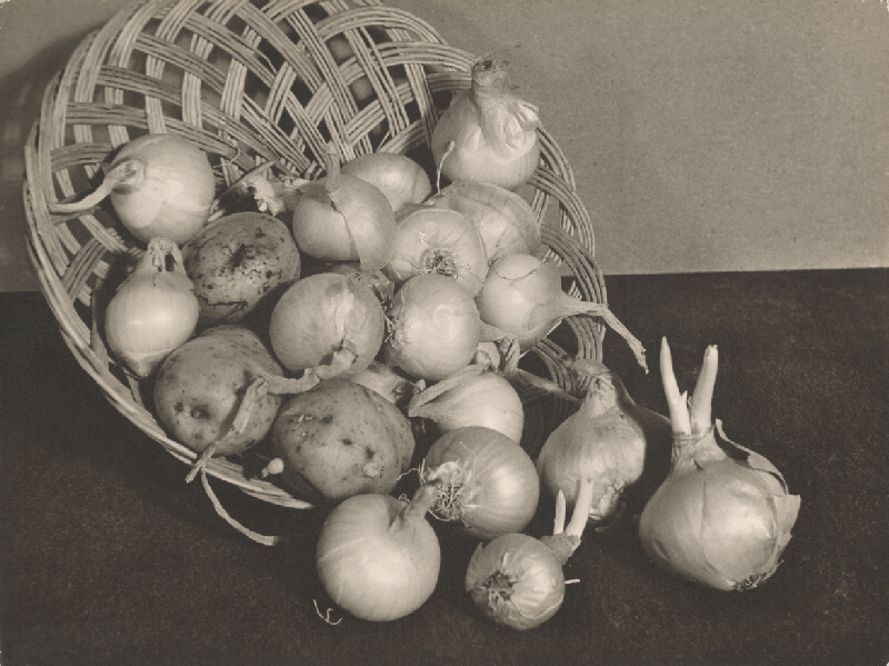 Ladislav Farkaš – Cibuľa 