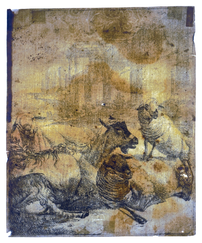 Johann Heinrich Roos – Ovce a kozy 