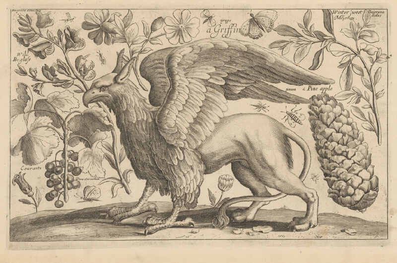 Václav Hollar – Mytologická obluda 