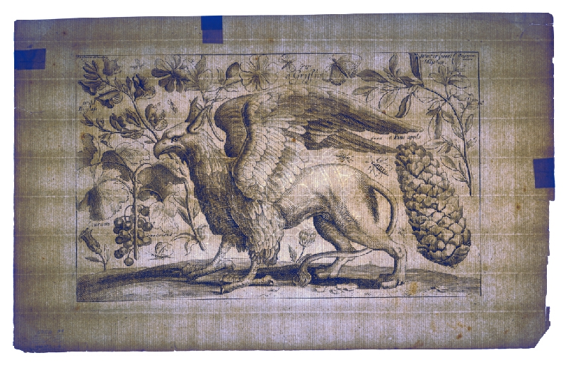 Václav Hollar – Mytologická obluda 