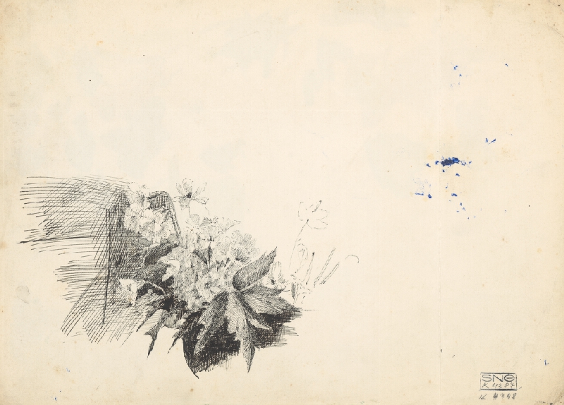 Ladislav Mednyánszky – Štúdia horských kvetov 