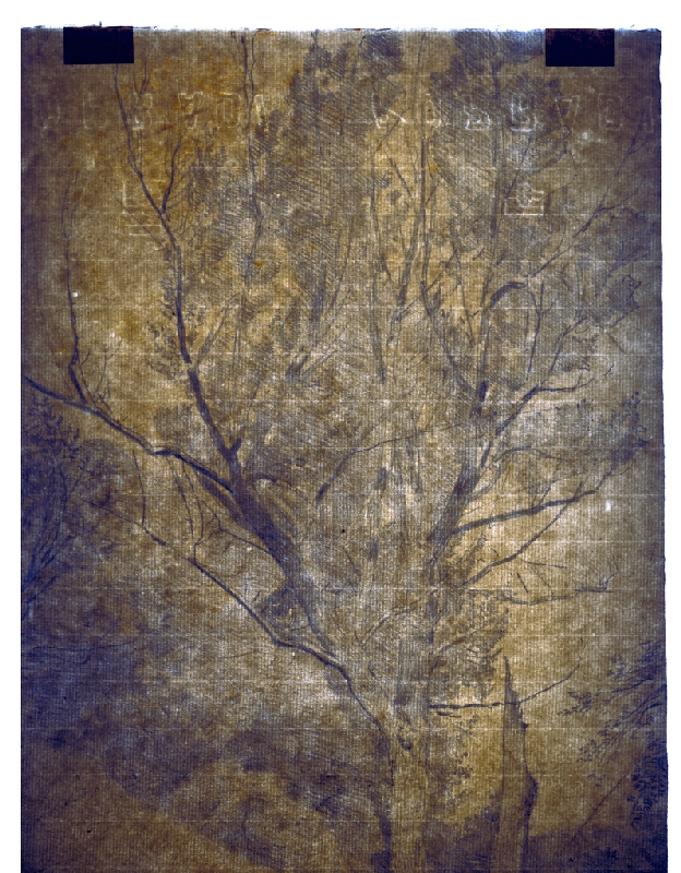 Ladislav Mednyánszky – Štúdia rozvetveného listnatého stromu 