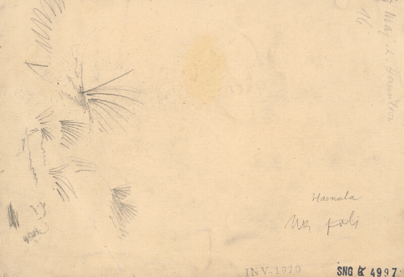 Jozef Hanula – In the Field 