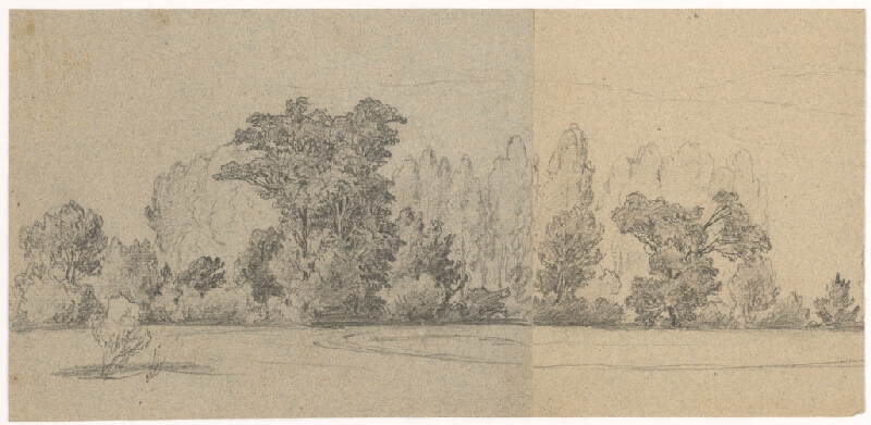 Jan Novopacký – Stromy v parku 