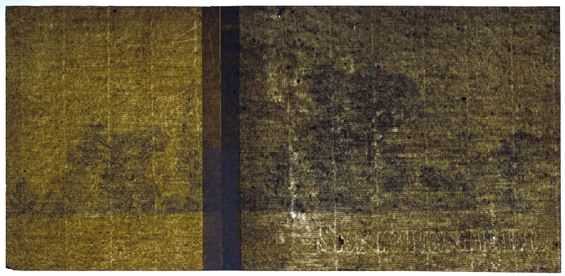 Jan Novopacký – Stromy v parku 