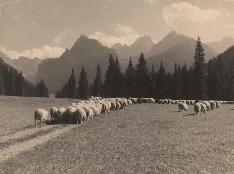 Ján Halaša – Vysoké Tatry (Pod Tatrami) 