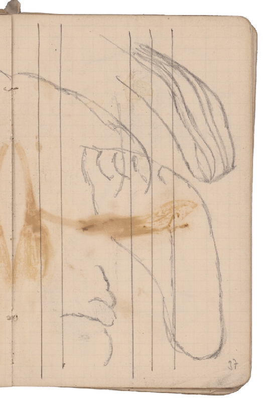 Ladislav Mednyánszky – 7. Náčrtník  