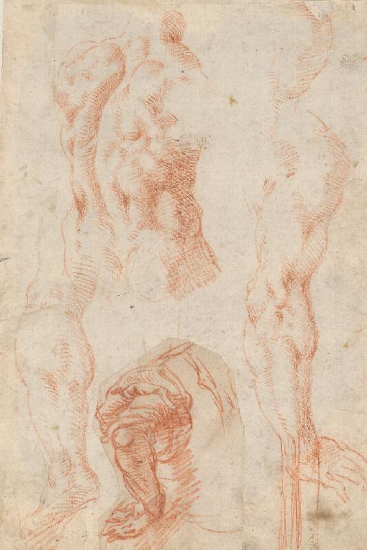 Stredoeurópsky maliar z 18. storočia – Anatomická štúdia 