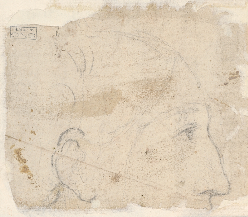 Stredoeurópsky maliar z 18. storočia – Anatomická štúdia vznášajúceho sa chlapčenského aktu 