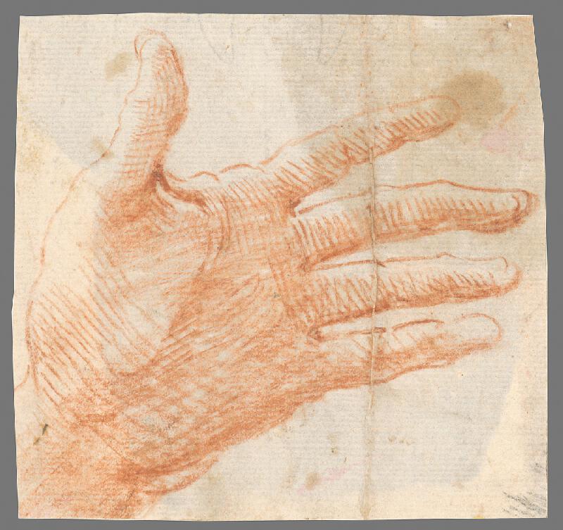 Stredoeurópsky maliar z 18. storočia – Štúdia otvorenej ľavej ruky 