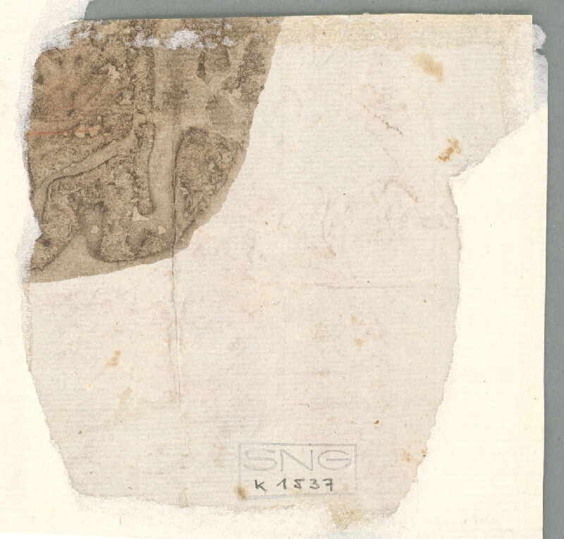 Stredoeurópsky maliar z 18. storočia – Štúdia otvorenej ľavej ruky 