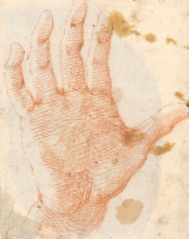 Stredoeurópsky maliar z 18. storočia – Štúdia roztvorenej pravej ruky 