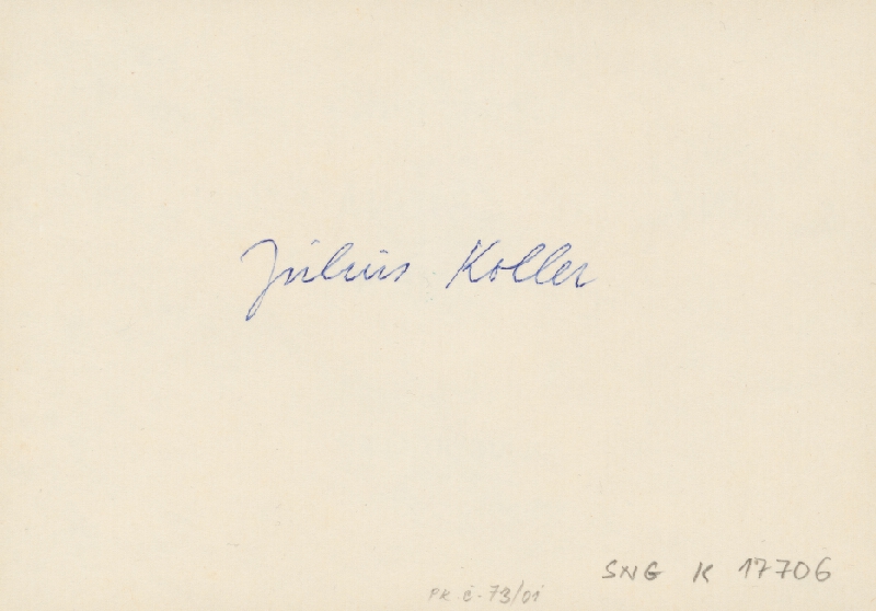 Július Koller – Oznámenie: NADPROFESIONALIZMUS 