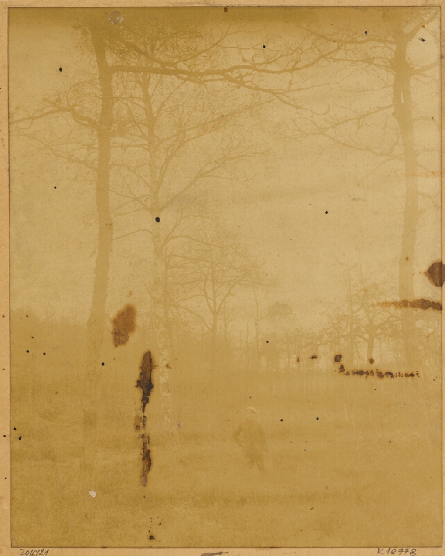 Ladislav Mednyánszky – Štúdie lesa 