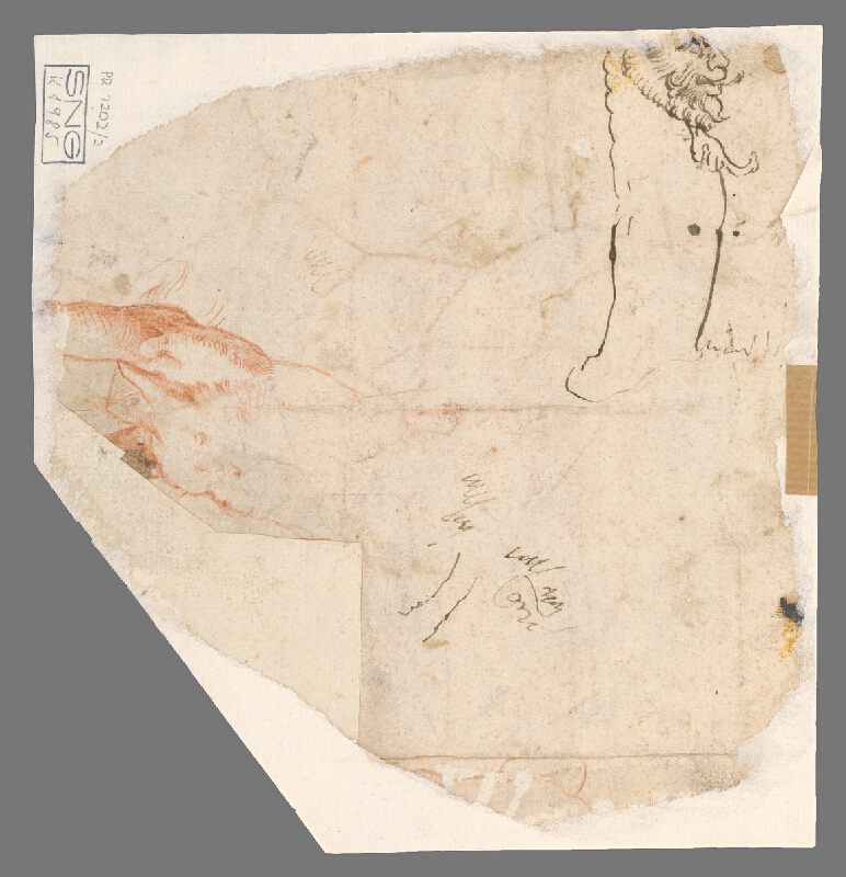 Francúzsky majster z 18. storočia – Štúdia hlavy kozorožca 