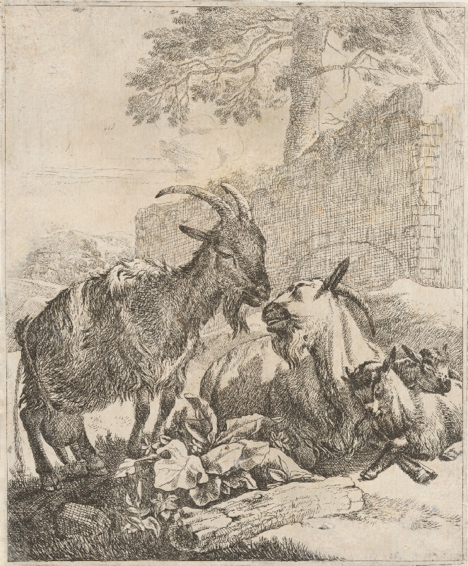 Johann Heinrich Roos – Kozy 