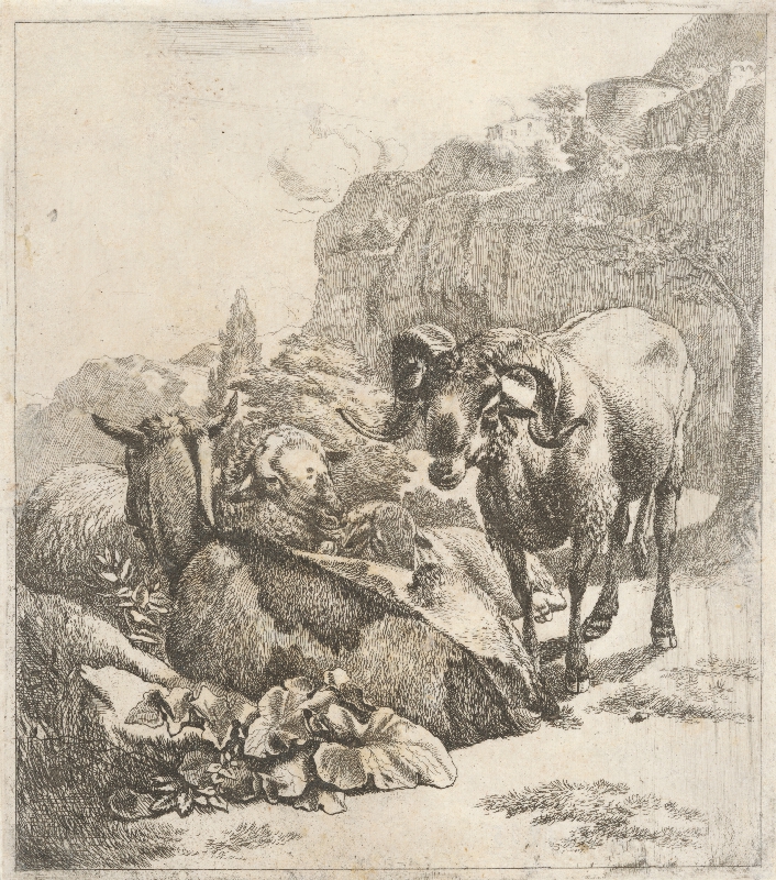 Johann Heinrich Roos – Baran 