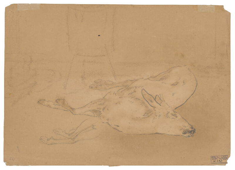 Friedrich Carl von Scheidlin – Mŕtva srna 