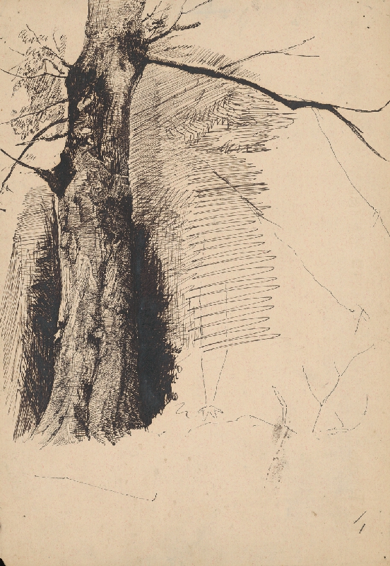 Ladislav Mednyánszky – Štúdia pňa stromov 