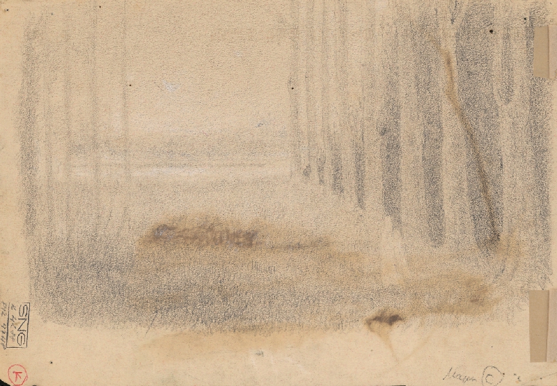 Ladislav Mednyánszky – Štúdia pňa stromov 