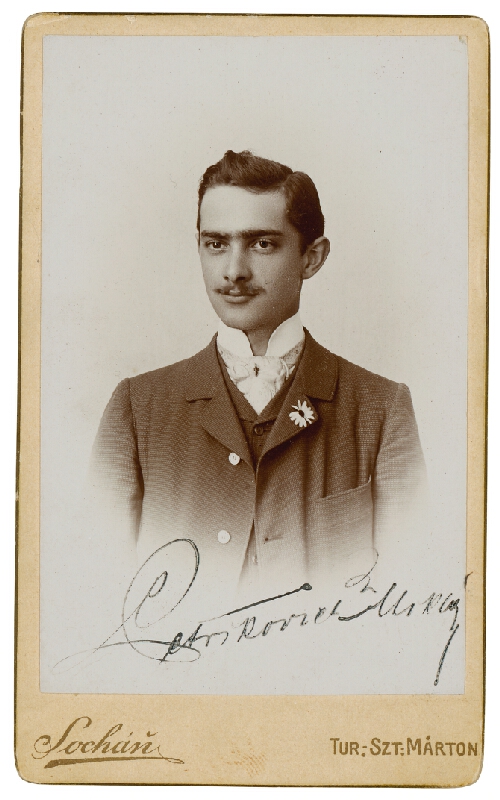 Pavol Socháň – Miklós Petrikovich 