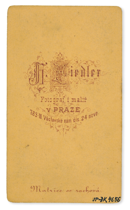 Hynek Fiedler – Portrét ženy 
