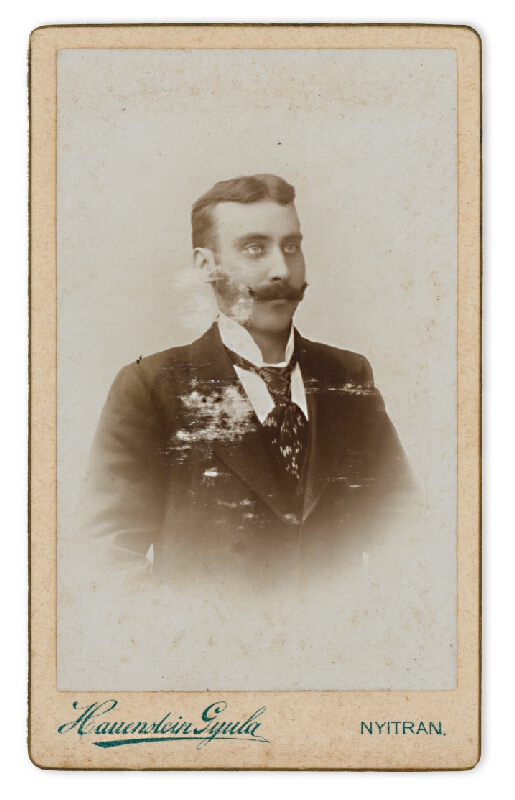 Gyula Hauenstein – Portrét muža s fúzmi 