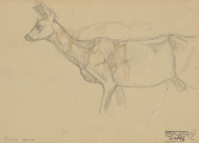 Július Koreszka – Štúdia srnca 