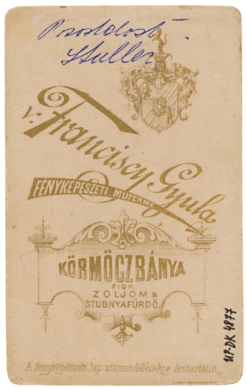 Gyula Franciscy – Portrét mladého muža 