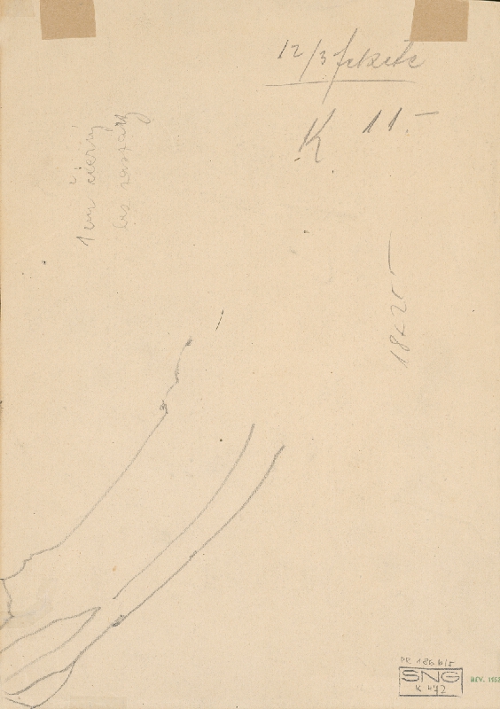 Ladislav Mednyánszky – Štúdia mládenca 