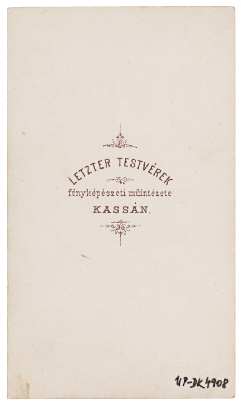 Letzter testvérek – Portrét mladého muža 