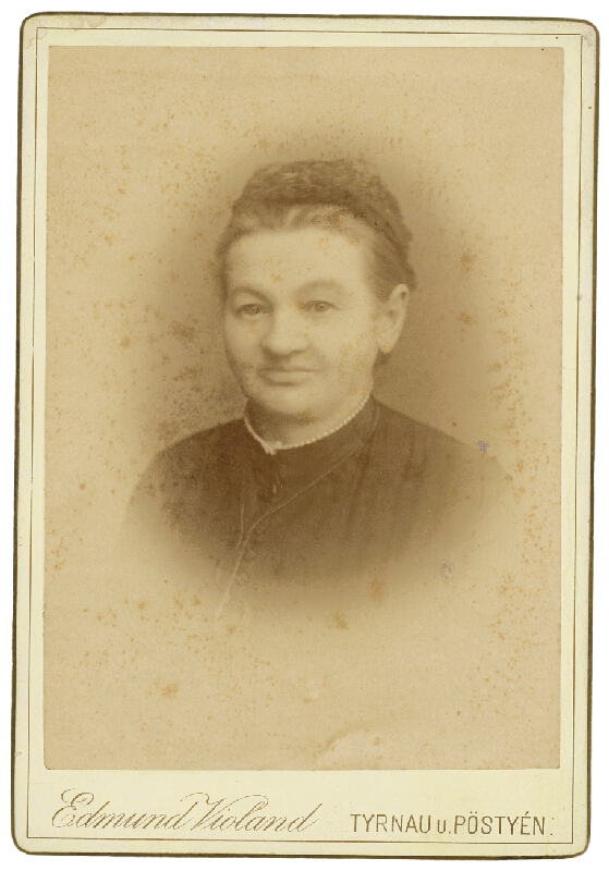 Edmund Violand – Portrét staršej ženy 