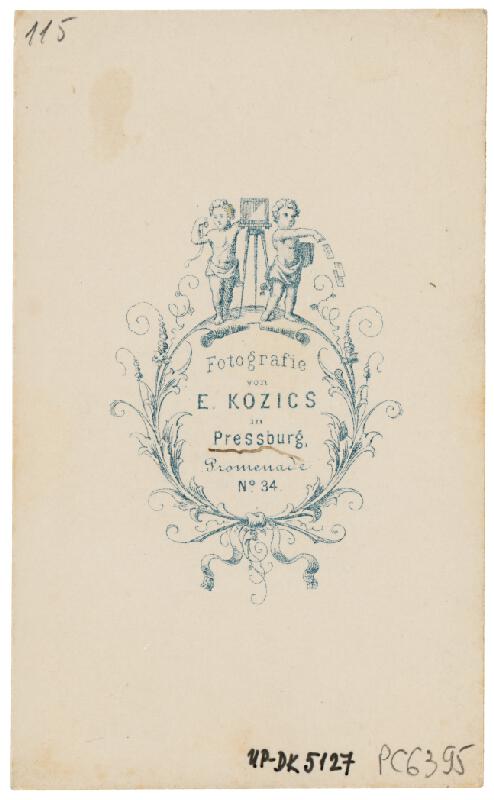 Ede Kozics st. – Bratislavský hrad od severu 