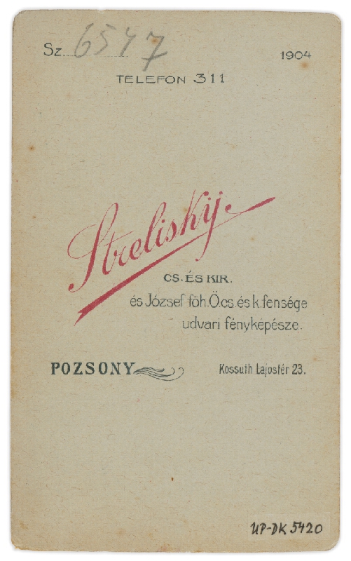 Sándor Strelisky – Portrét muža 