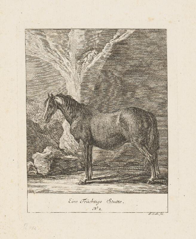Nemecký - rakúsky autor G.E.R. z 19. storočia – Štúdia koňa 