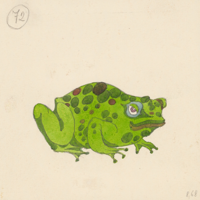 Miroslav Cipár – Biela kňažná - Ropucha 