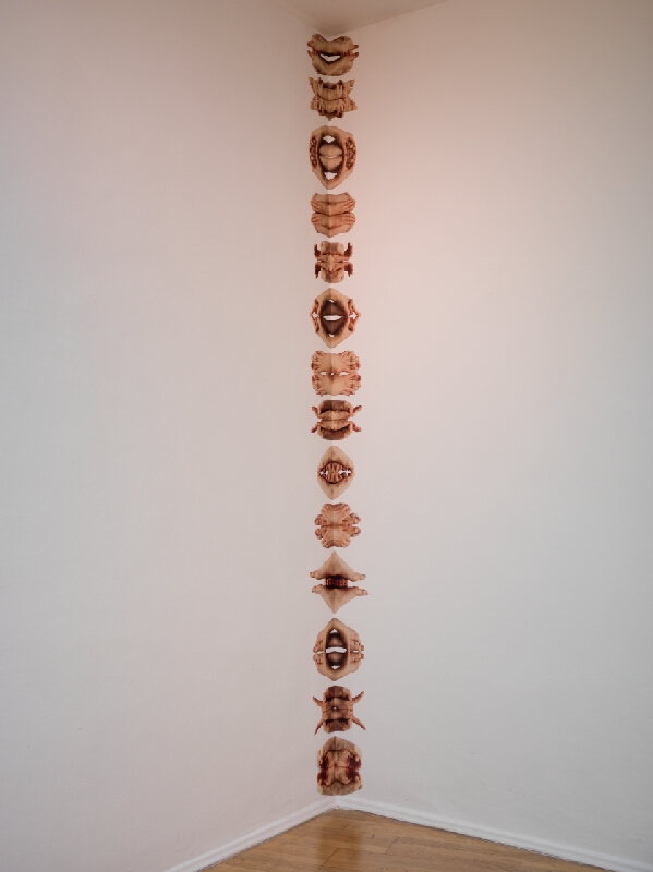 Dorota Sadovská – Parazity 