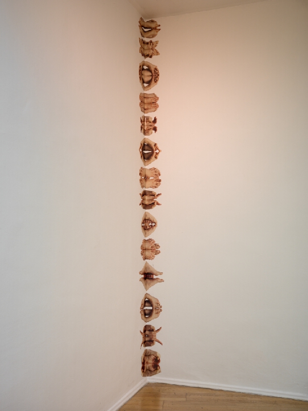 Dorota Sadovská – Parazity 