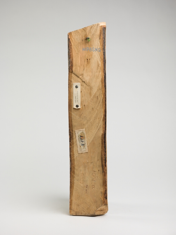 Mária Žilavá – Myšlienky 