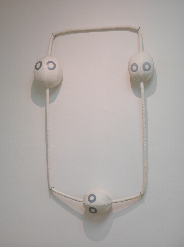 Sára Pernecká – Tušenie genetiky 