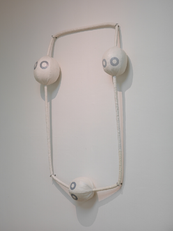 Sára Pernecká – Tušenie genetiky 