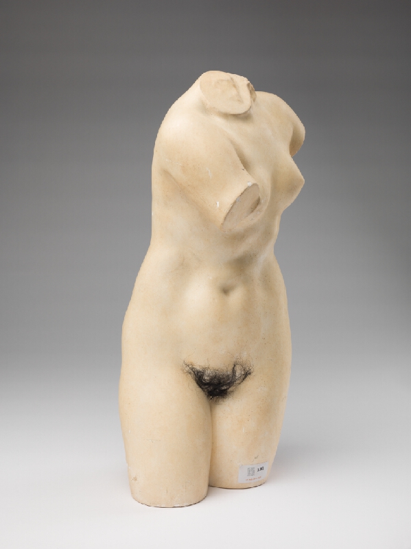 Alex Mlynárčik – Afrodita Knidská - zvaná Lola 73 