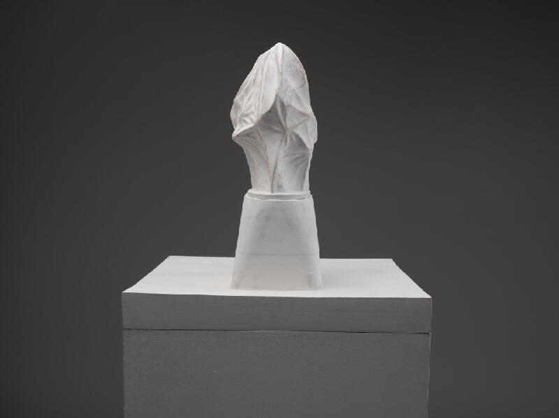 Martin Piaček – 6. júna 2010, slávnostné odhalenie sochy Svätopluka na nádvorí bratislavského hradu/ z cyklu Najväčšie trapasy slovenskej histórie 