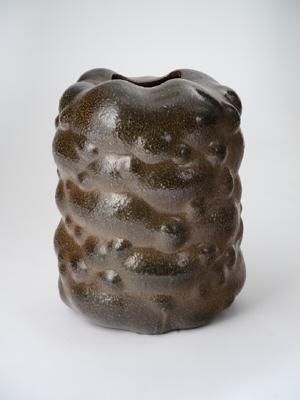 Jozef Sušienka – Vase I. 