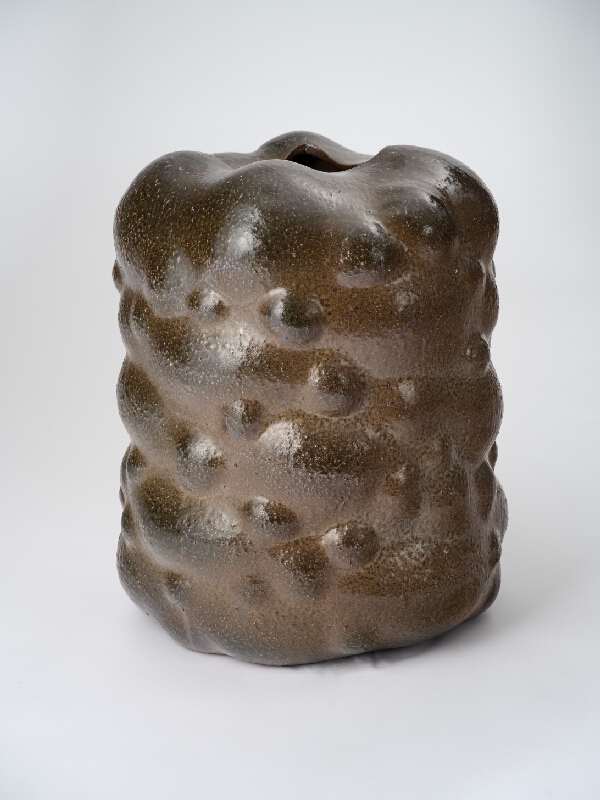 Jozef Sušienka – Vase I. 